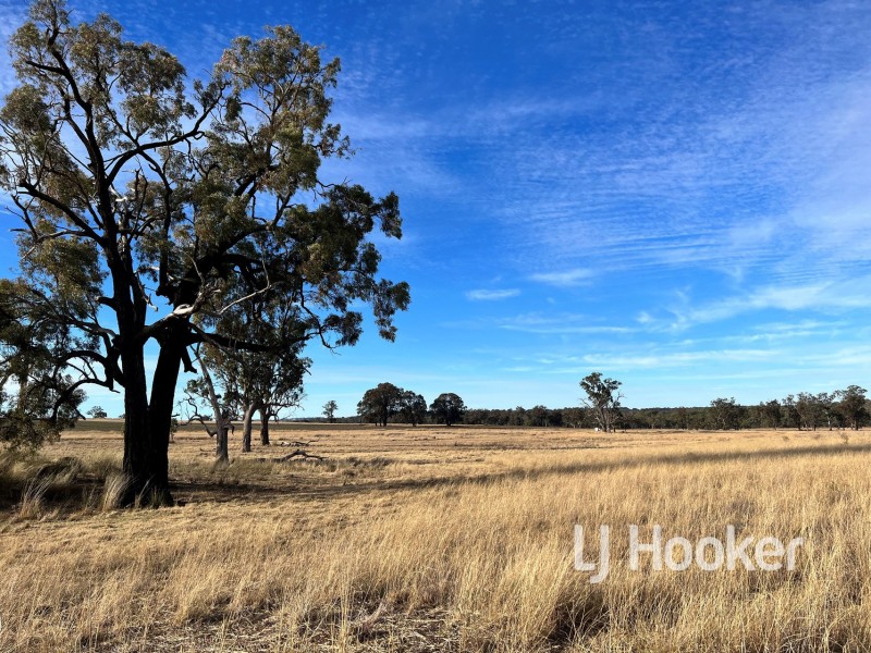 92 Petoria Park Road, Delungra NSW 2403