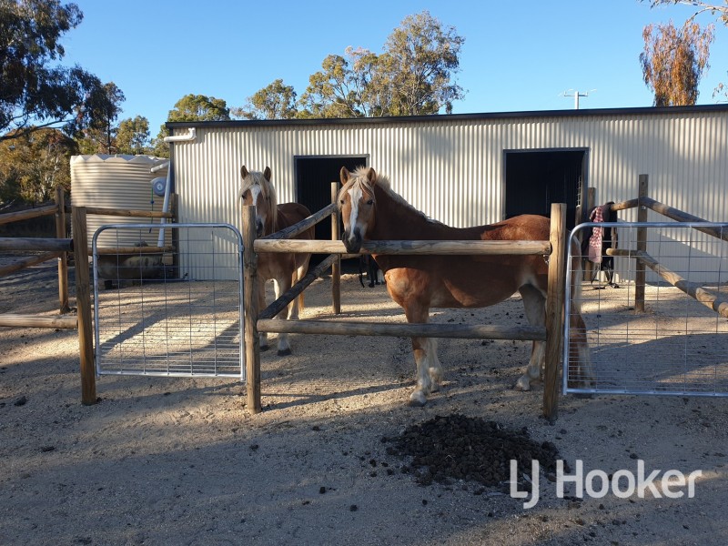 700 Old Bundarra Road, Inverell NSW 2360