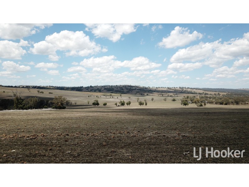 Yetman Road, Inverell NSW 2360