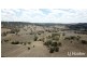 Yetman Road, Inverell NSW 2360
