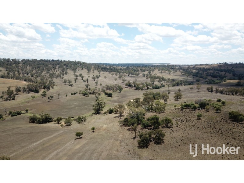 Yetman Road, Inverell NSW 2360