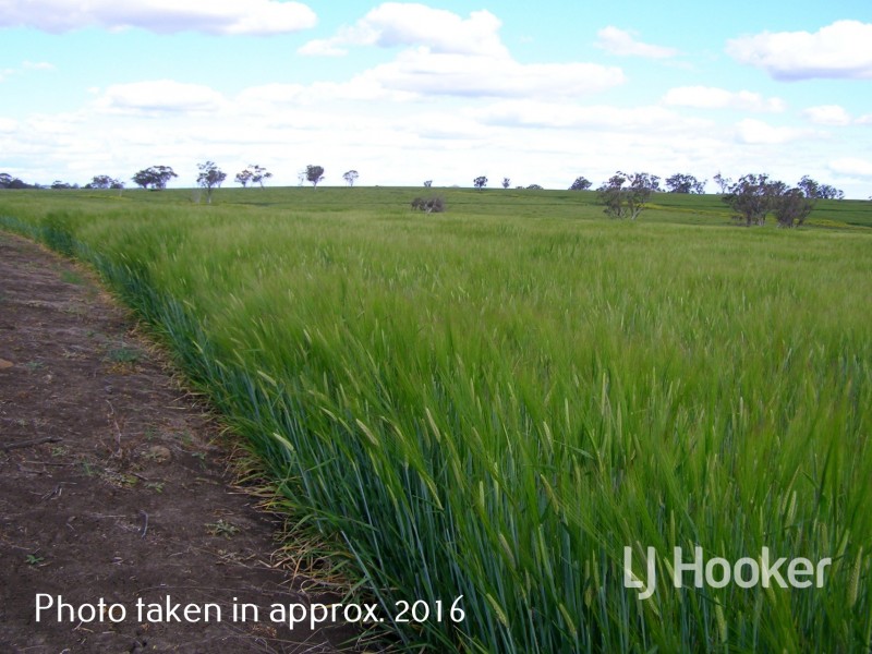 Yetman Road, Inverell NSW 2360