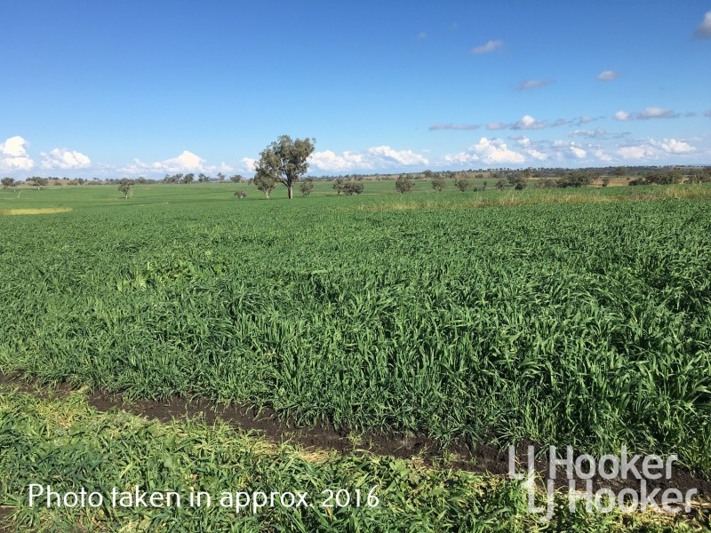 Yetman Road, Inverell NSW 2360