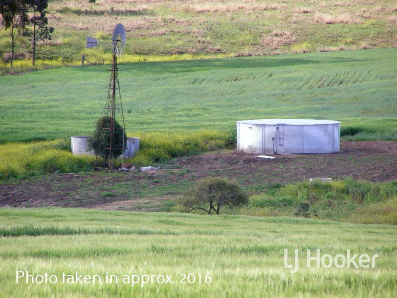 Yetman Road, Inverell NSW 2360