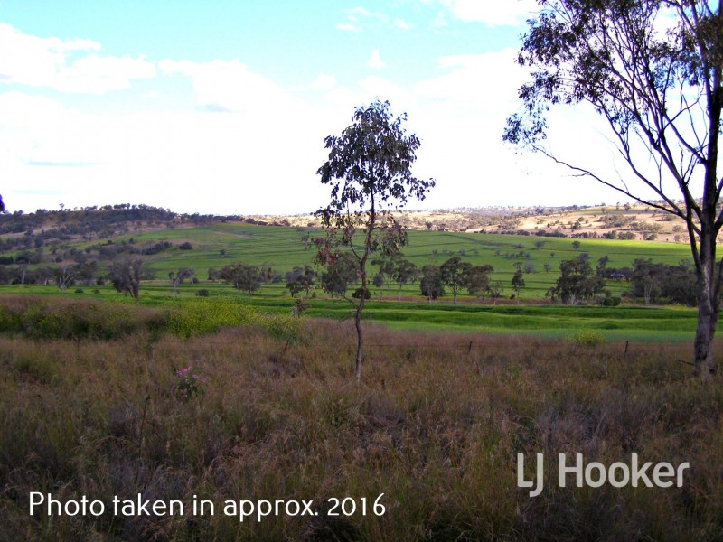 Yetman Road, Inverell NSW 2360