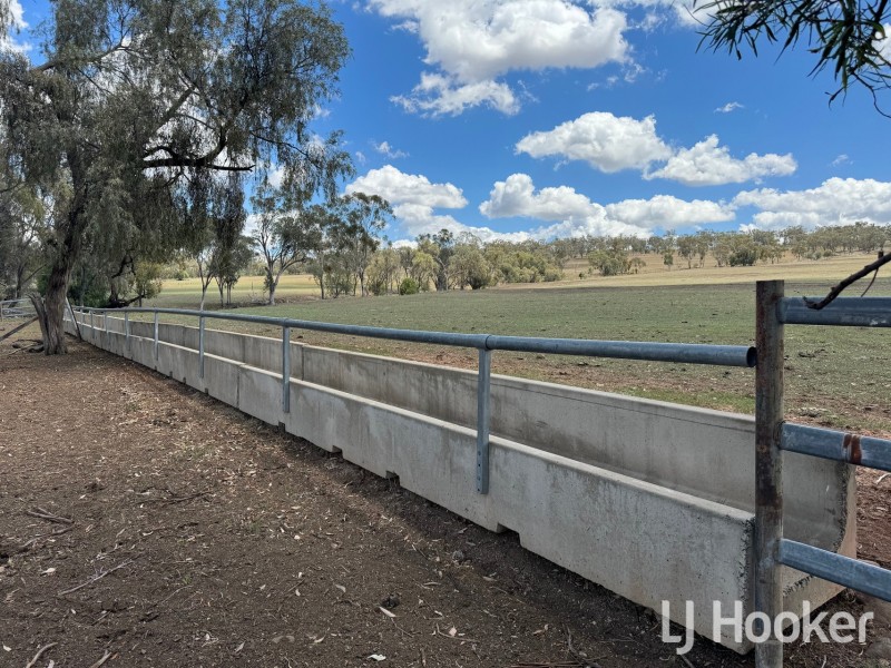 Yetman Road, Inverell NSW 2360