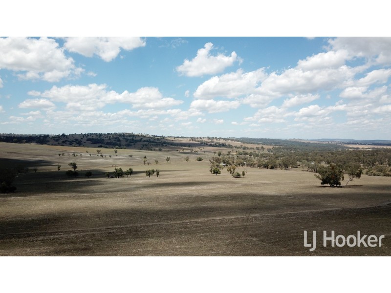 Yetman Road, Inverell NSW 2360