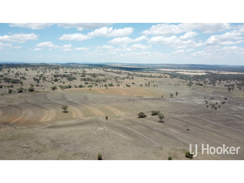 Yetman Road, Inverell NSW 2360