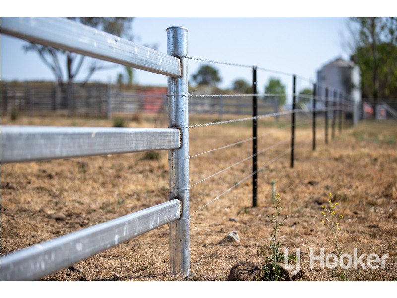 142 Toms Drive, Inverell NSW 2360