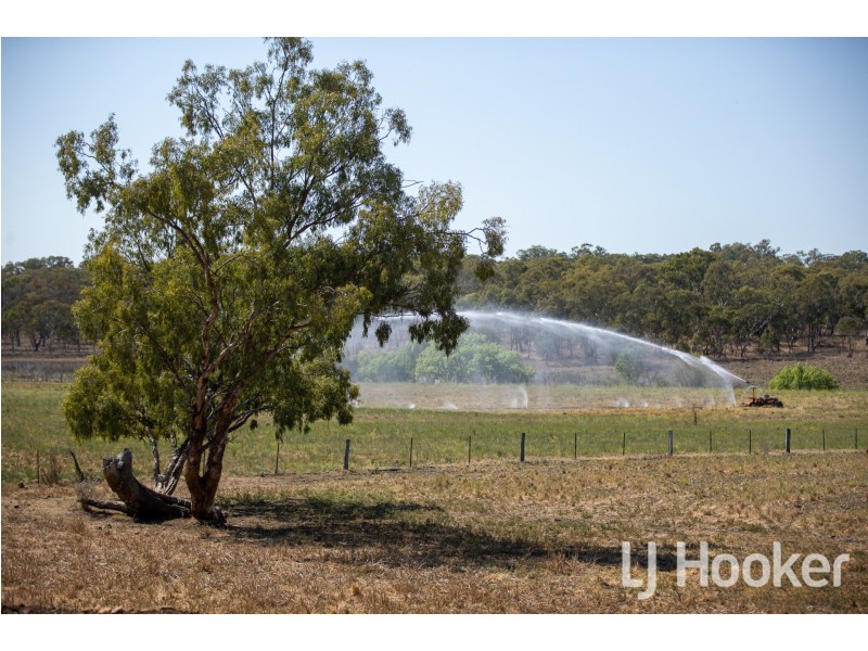 142 Toms Drive, Inverell NSW 2360