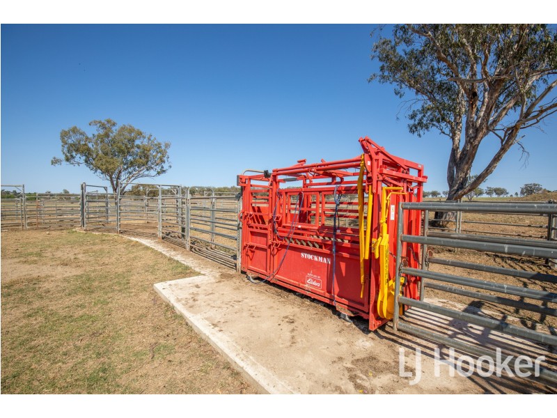 142 Toms Drive, Inverell NSW 2360