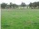 Inverell NSW 2360