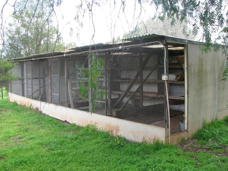 Inverell NSW 2360