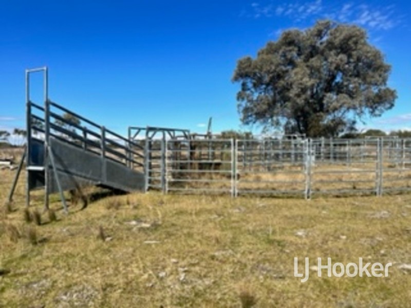 14 Onus Road, Inverell NSW 2360