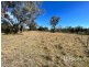 14 Onus Road, Inverell NSW 2360