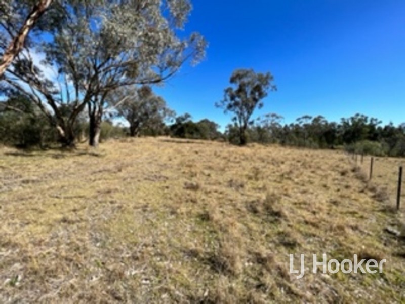 14 Onus Road, Inverell NSW 2360