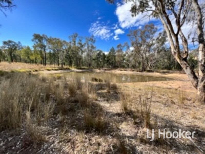 14 Onus Road, Inverell NSW 2360