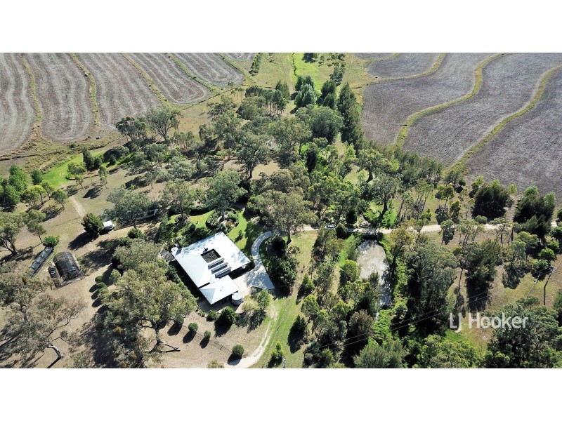 158 Dog Trap Lane, Inverell NSW 2360