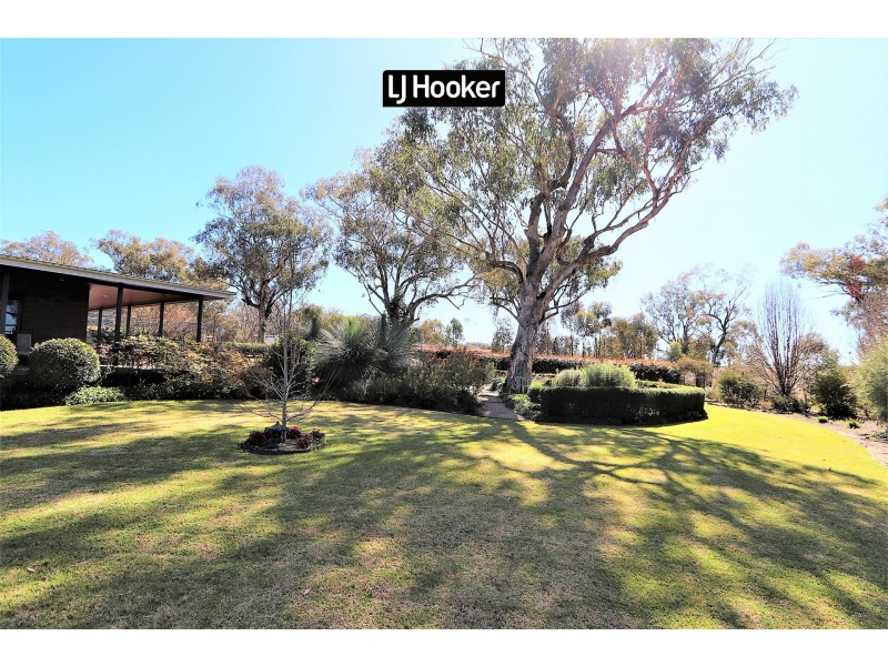 158 Dog Trap Lane, Inverell NSW 2360