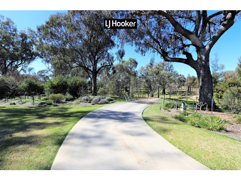 158 Dog Trap Lane, Inverell NSW 2360