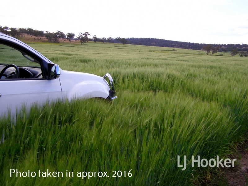 Yetman Road, Warialda NSW 2402