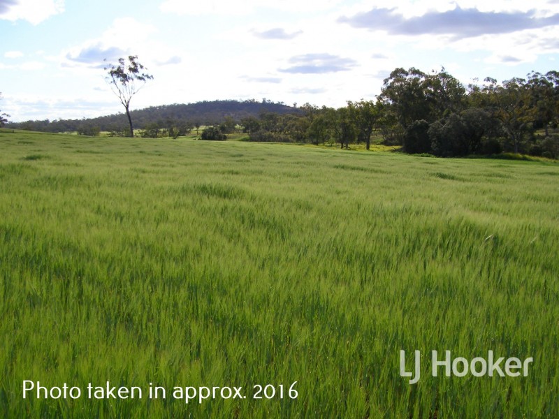 Yetman Road, Warialda NSW 2402