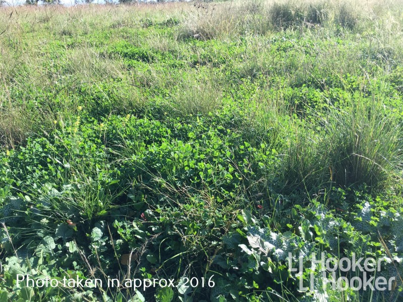 Yetman Road, Warialda NSW 2402