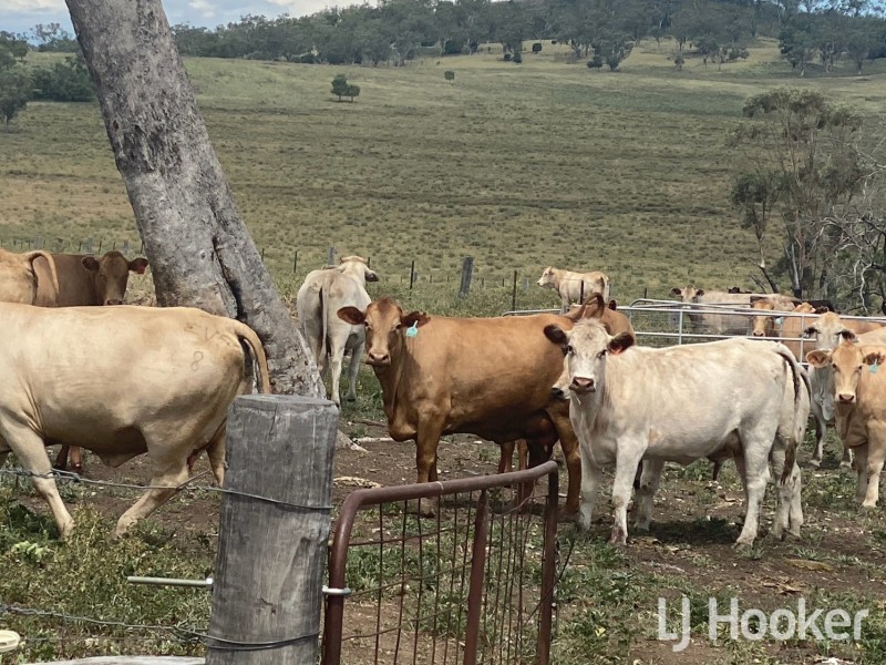 Yetman Road, Warialda NSW 2402