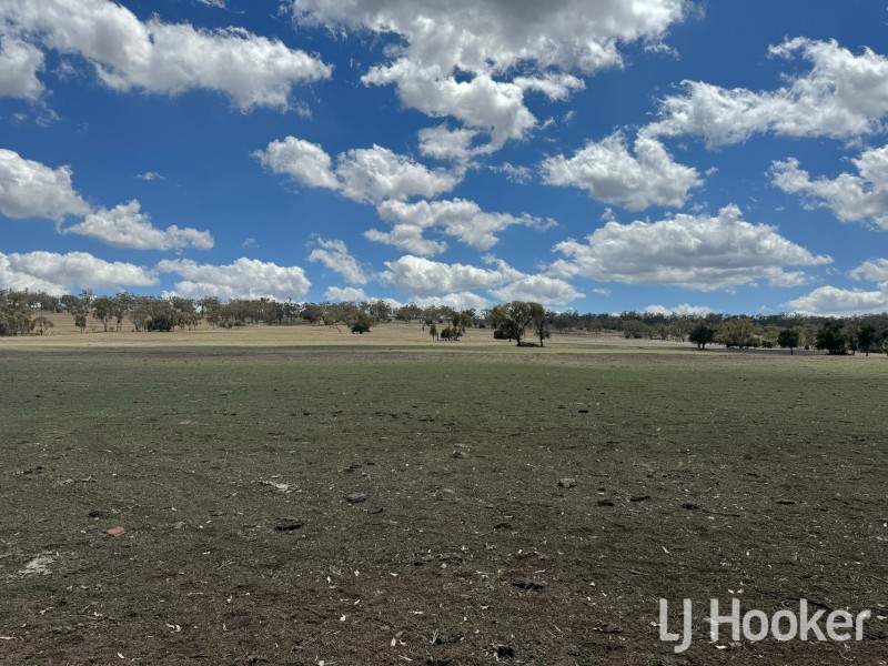 Yetman Road, Warialda NSW 2402