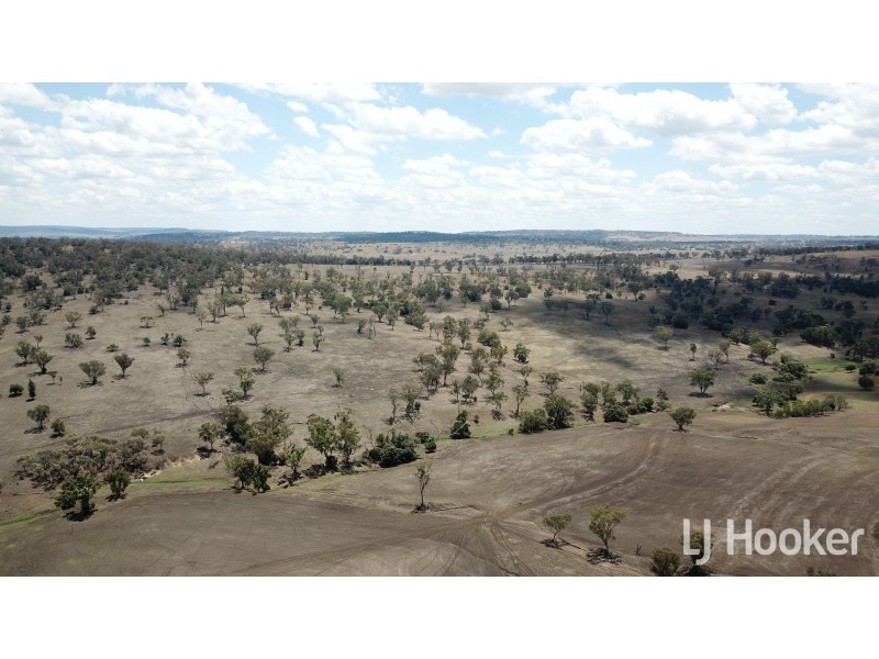 Yetman Road, Warialda NSW 2402