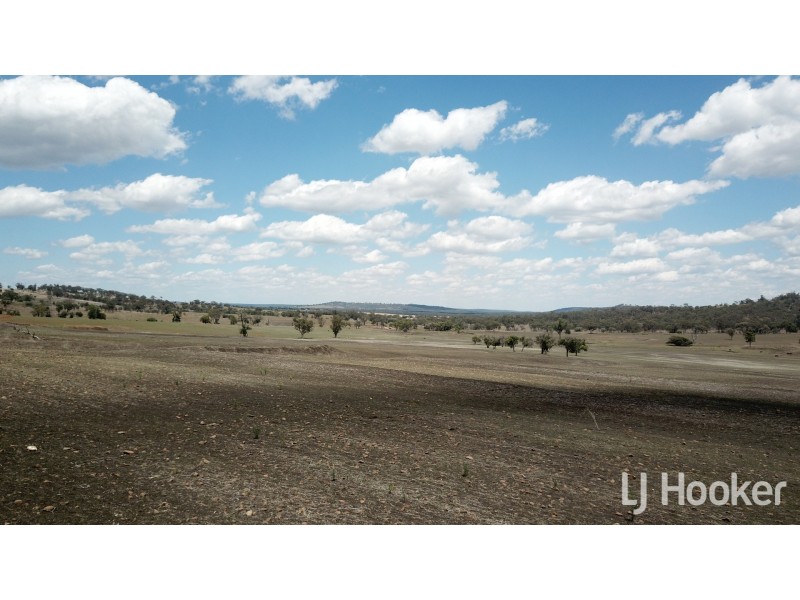 Yetman Road, Warialda NSW 2402