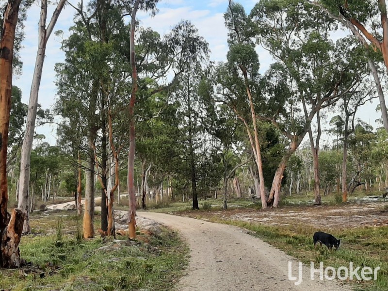 3260 Gragin Road, Warialda NSW 2402