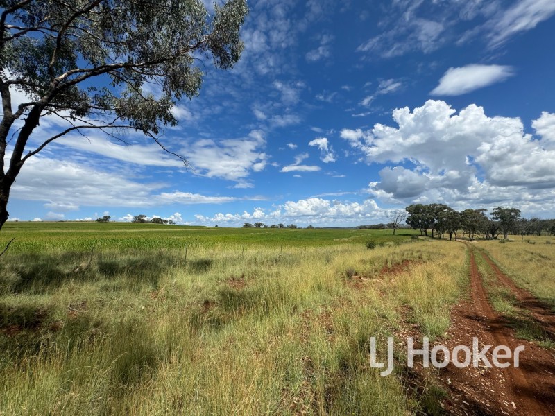 89 Bells Lane, Inverell NSW 2360