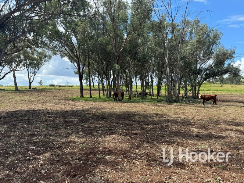 89 Bells Lane, Inverell NSW 2360