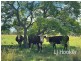89 Bells Lane, Inverell NSW 2360