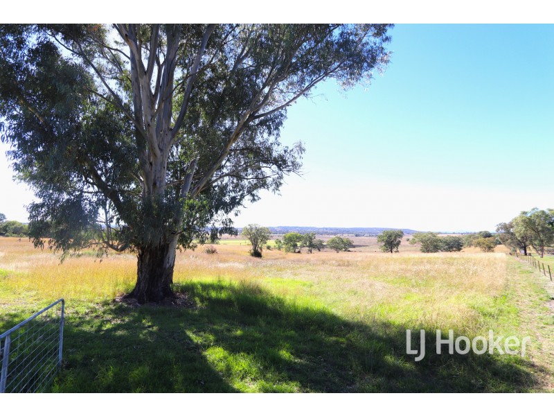 229 Old Bundarra Road, Inverell NSW 2360