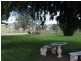 394 Yetman Road, Inverell NSW 2360
