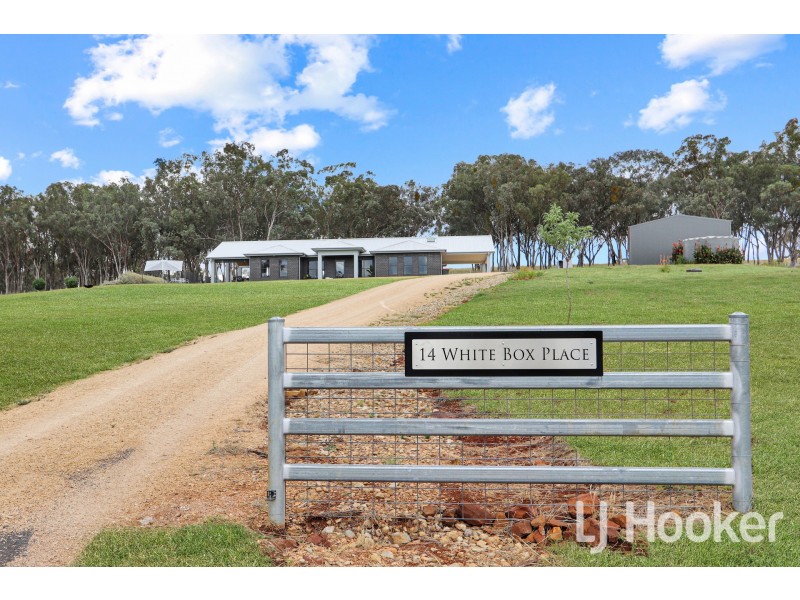 14 White Box Place, Inverell NSW 2360