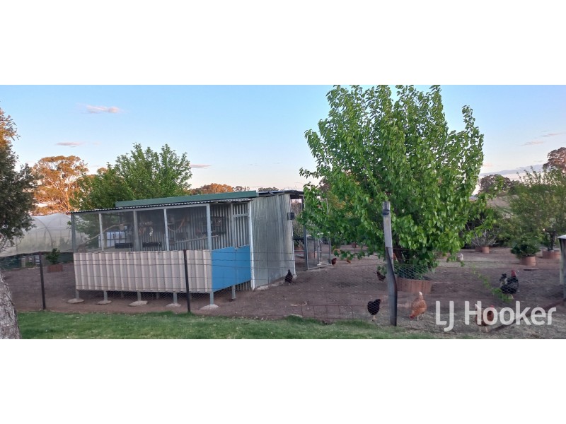 58 Muirhead Street, Inverell NSW 2360