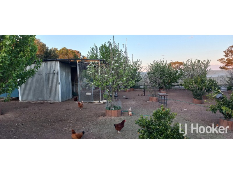 58 Muirhead Street, Inverell NSW 2360