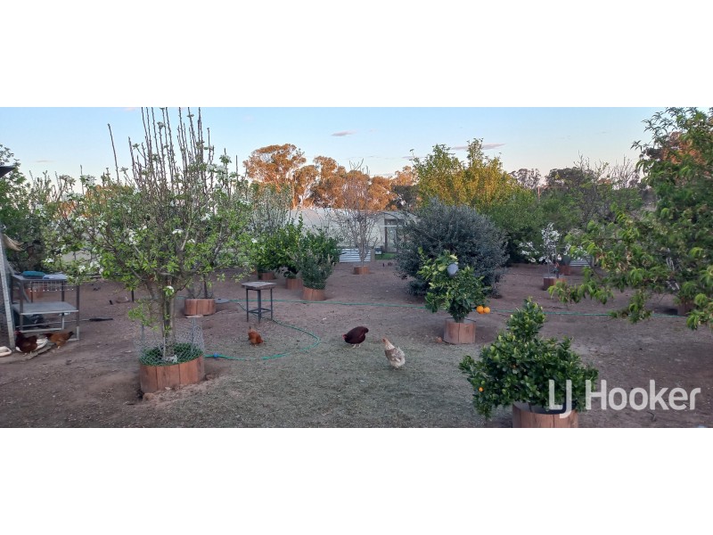 58 Muirhead Street, Inverell NSW 2360