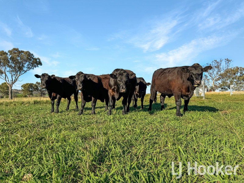 116 McLean Road, Inverell NSW 2360