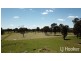 200 Aberdeen Road, Inverell NSW 2360