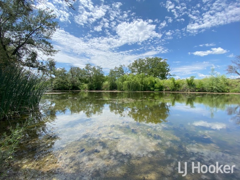 158 Elsmore Road, Inverell NSW 2360