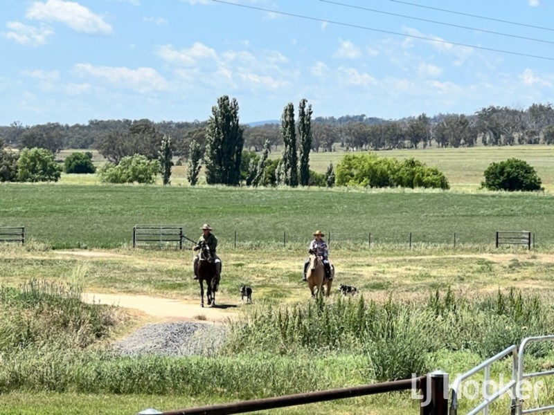 158 Elsmore Road, Inverell NSW 2360