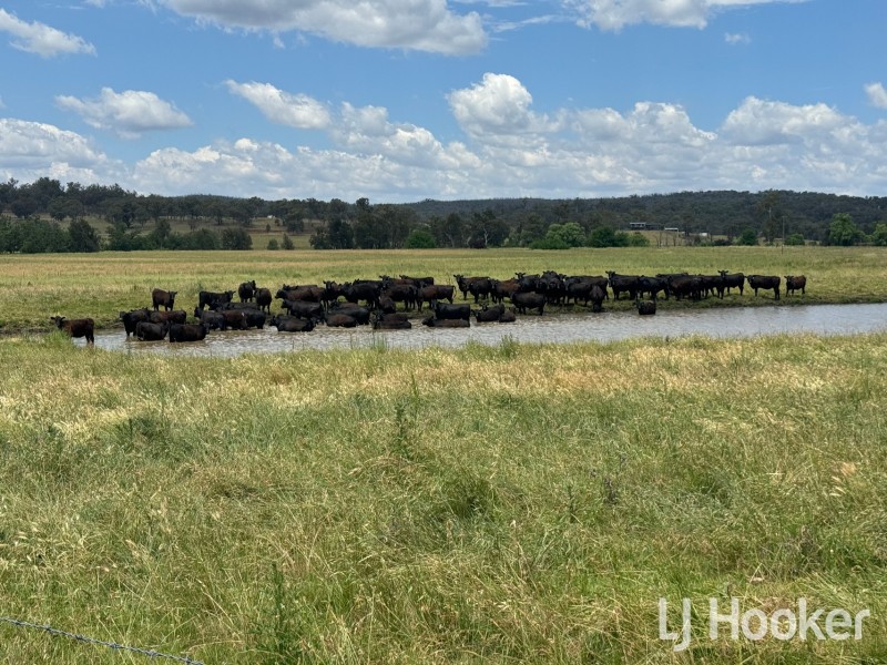 158 Elsmore Road, Inverell NSW 2360