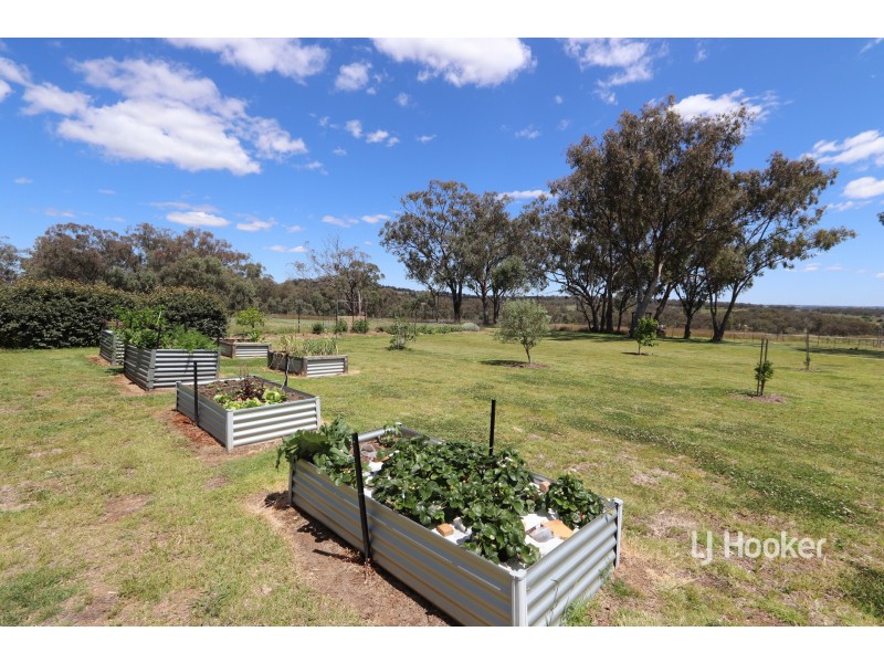 47 Talbragar Close, Inverell NSW 2360