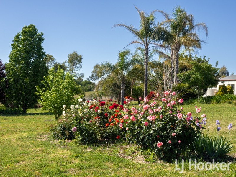 38 Hampton Court, Inverell NSW 2360