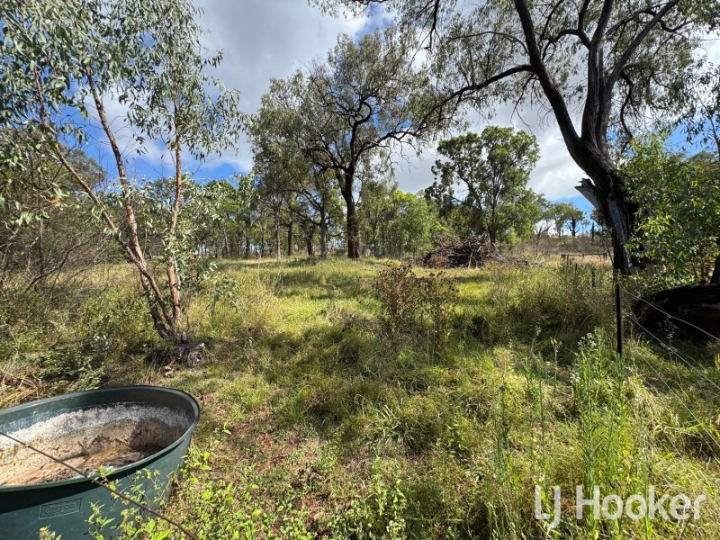 221 Copeton Dam Road, Inverell NSW 2360