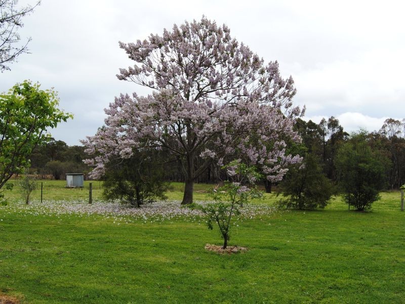 60 Bonvale Road, Gilgai NSW 2360